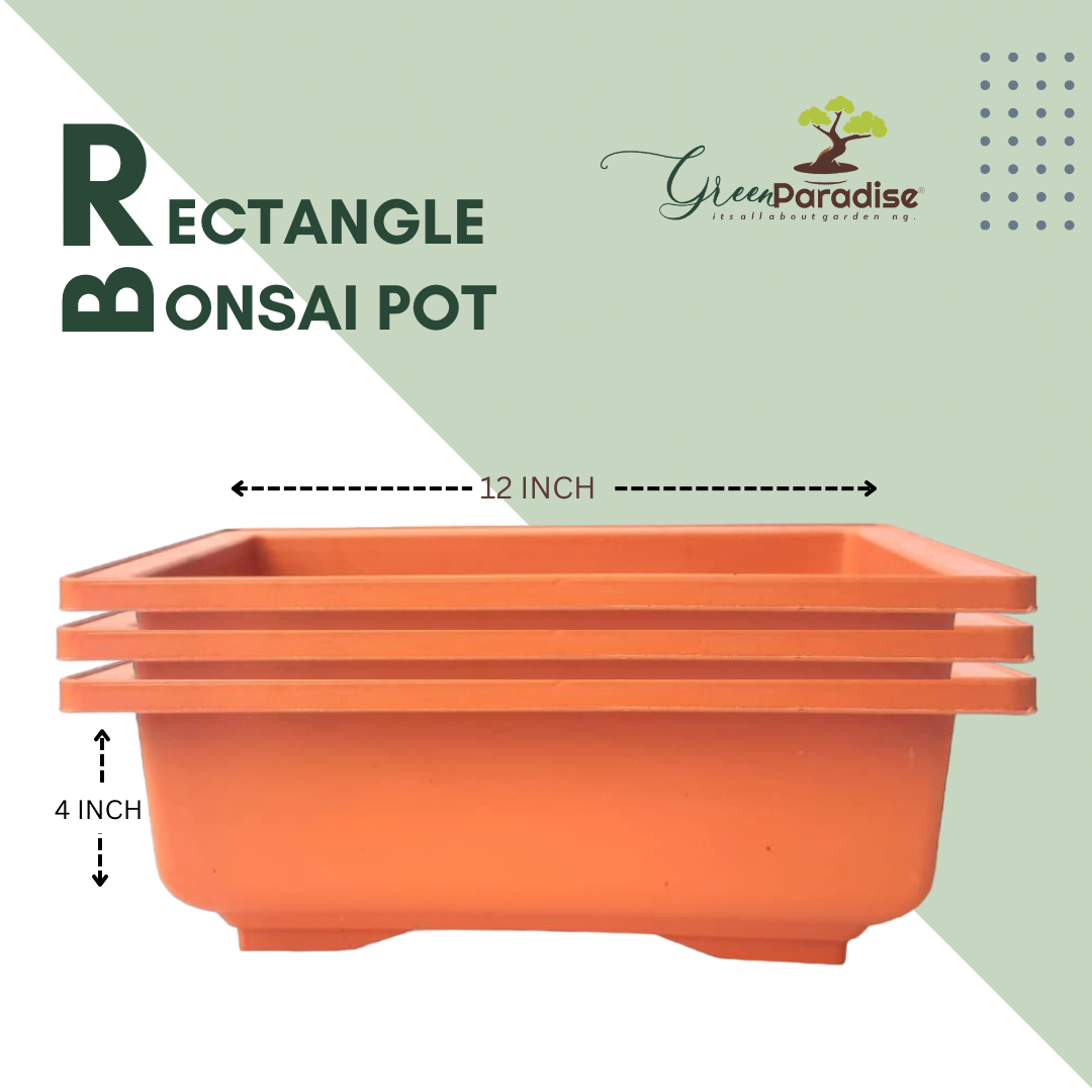GREEN PARADISE® Rectangle Bonsai Plastic Pot - Terracotta Color | Premium Quality Lightweight Pot for Indoor and Outdoor Bonsai Trees