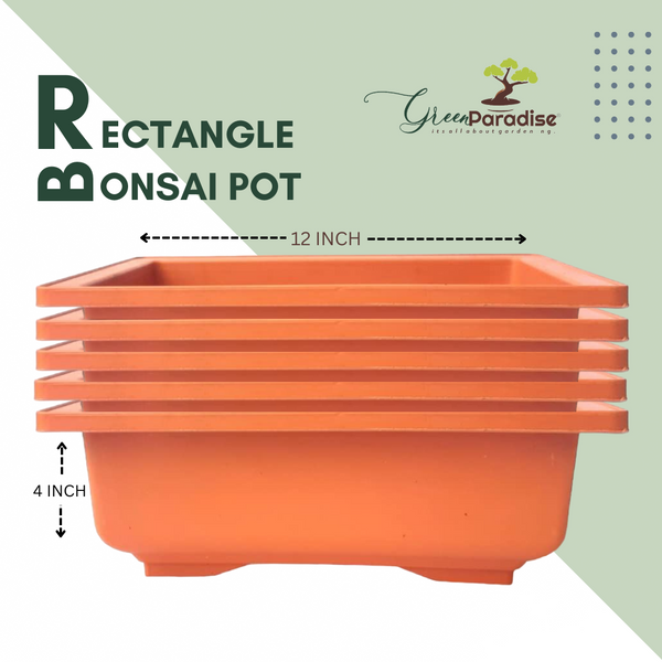 GREEN PARADISE® Rectangle Bonsai Plastic Pot Premium Quality Lightweight Pot for Indoor and Outdoor Bonsai Trees