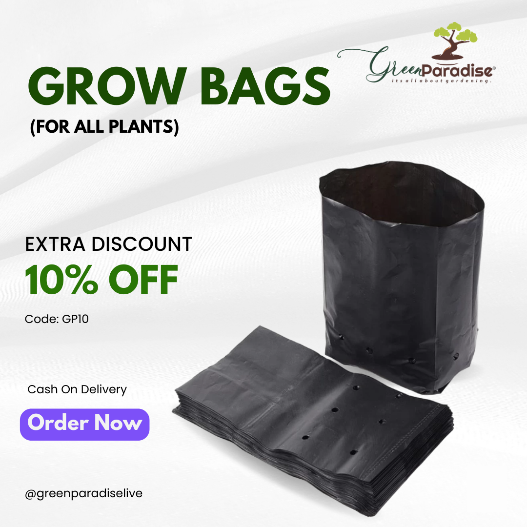 Green Paradise® Growbags UV Stabilized for Kitchen Gardening Hi Quality Poly Bags