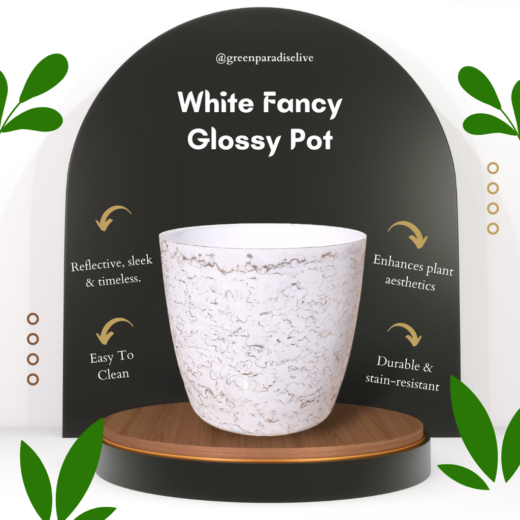 Green Paradise White Glossy Pots With Beautiful Prints 19 cm Pot (set of 3)