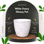 Green Paradise White Glossy Pots With Beautiful Prints 19 cm Pot (set of 3)