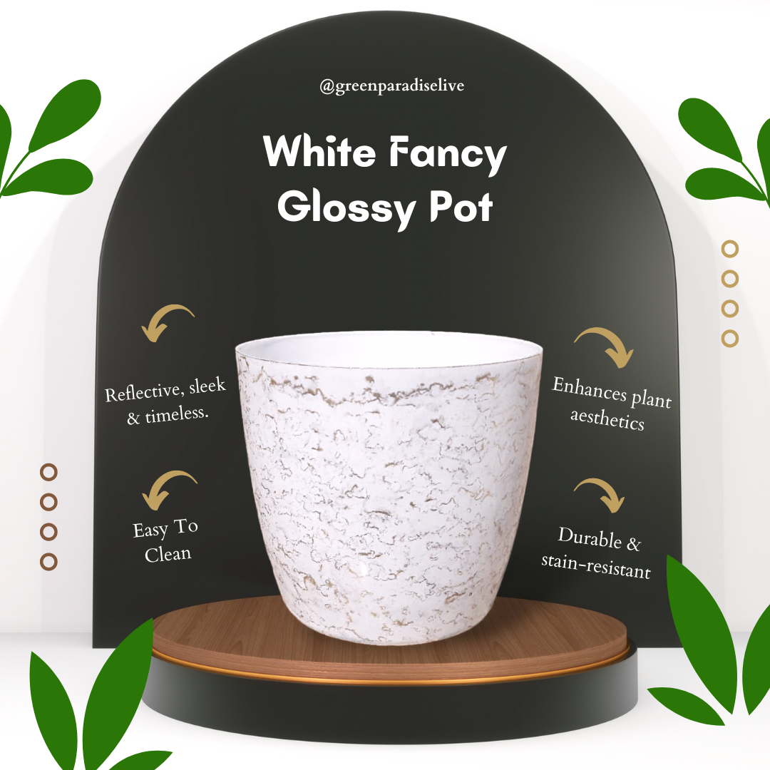 Green Paradise White Glossy Pots With Beautiful Prints 19 cm Pot (set of 3)
