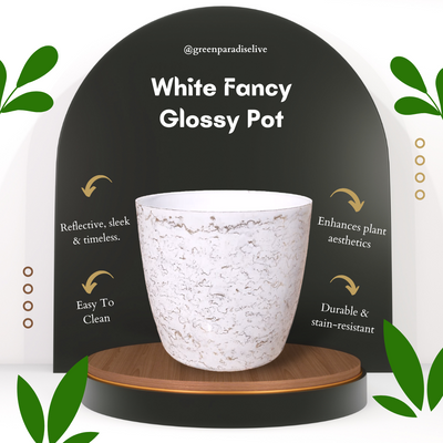 Green Paradise White Glossy Pots With Beautiful Prints 19 cm Pot (set of 3)