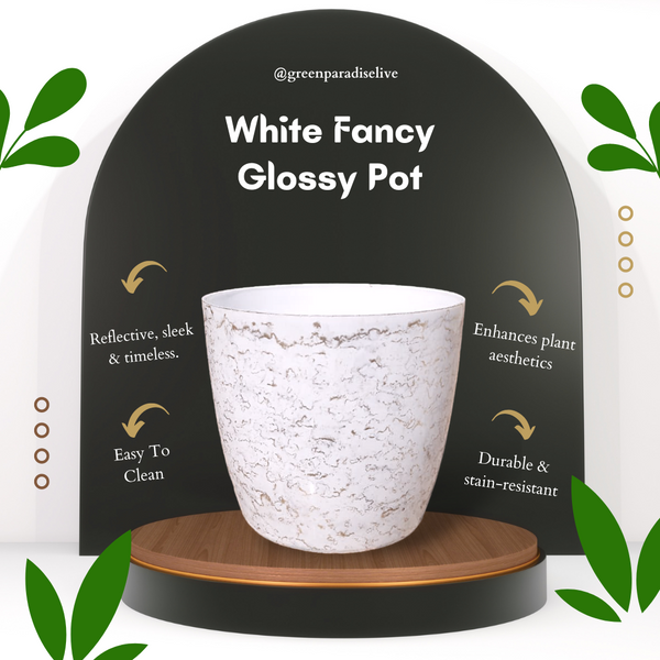 Green Paradise White Glossy Pots With Beautiful Prints 19 cm Pot (set of 3)