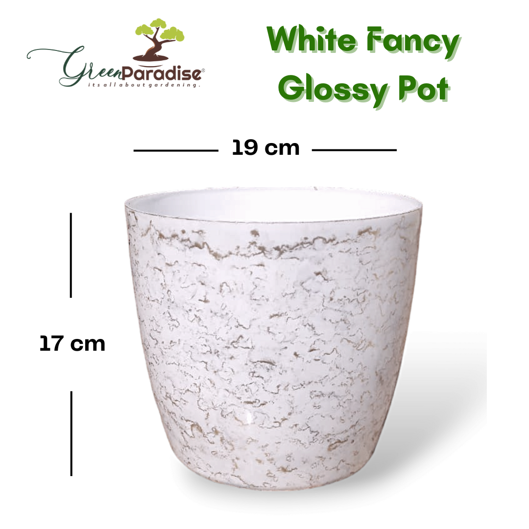 Green Paradise White Glossy Pots With Beautiful Prints 19 cm Pot (set of 3)
