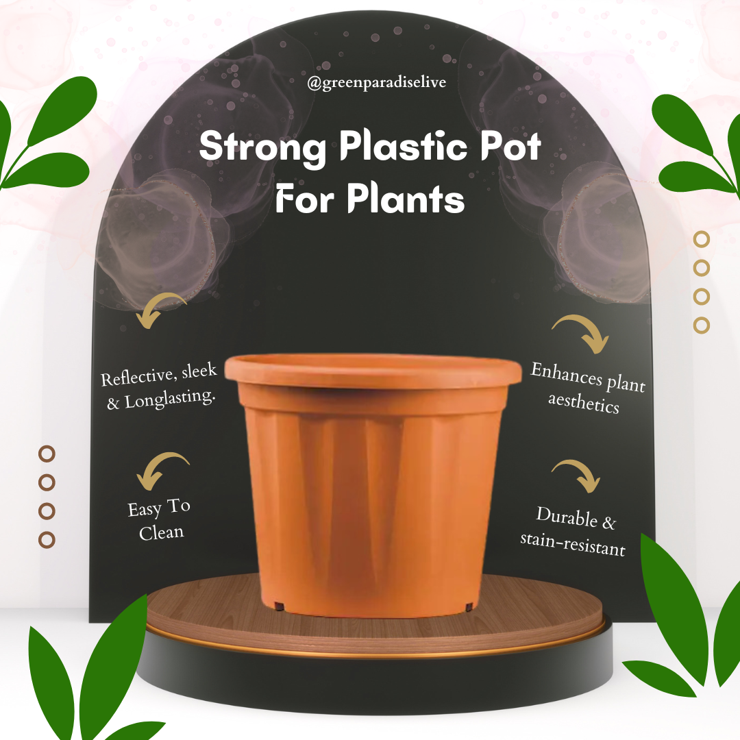 Green Paradise Premium Plastic Pots Durable and Eco-Friendly Plant Container for Healthy Growth