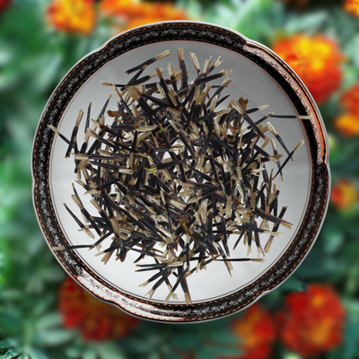 Green Paradise® Marigold Red French F1 Seeds Pack