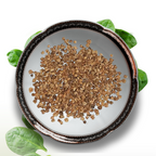 Green Paradise® Spinach (Palak) Seeds Pack