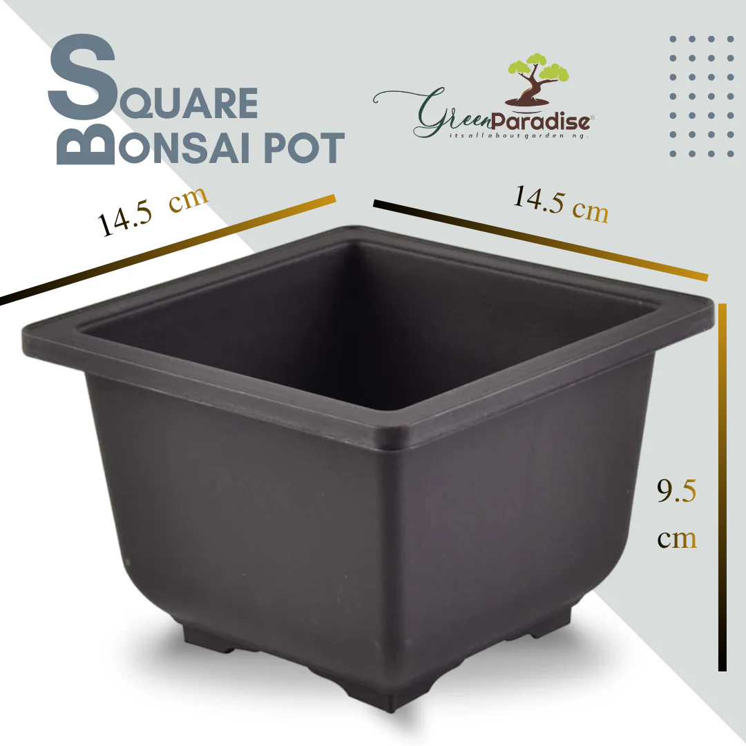 Green Paradise® Bonsai Pots Plastic Bonsai Training Pots (Square )(purple clay color)