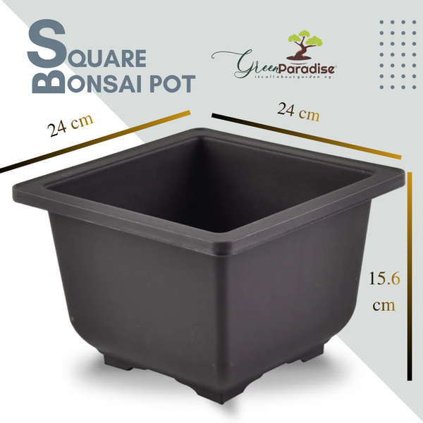 Green Paradise® Bonsai Pots Plastic Bonsai Training Pots (Square )(purple clay color)