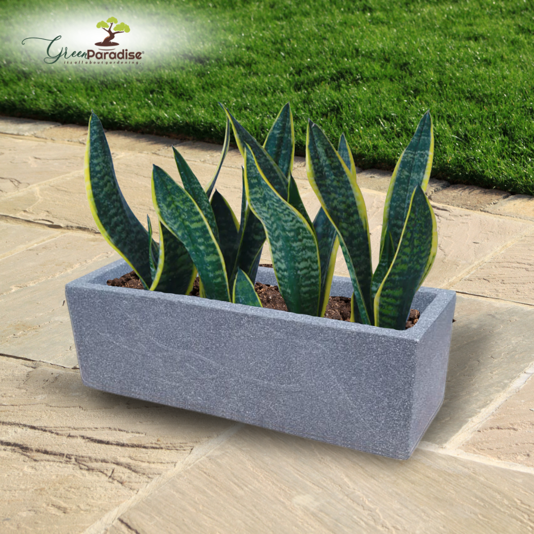 Green Paradise® Roto Molded Luxe Rectangle Planter Durable, Elegant & Weather-Resistant (18 inch)