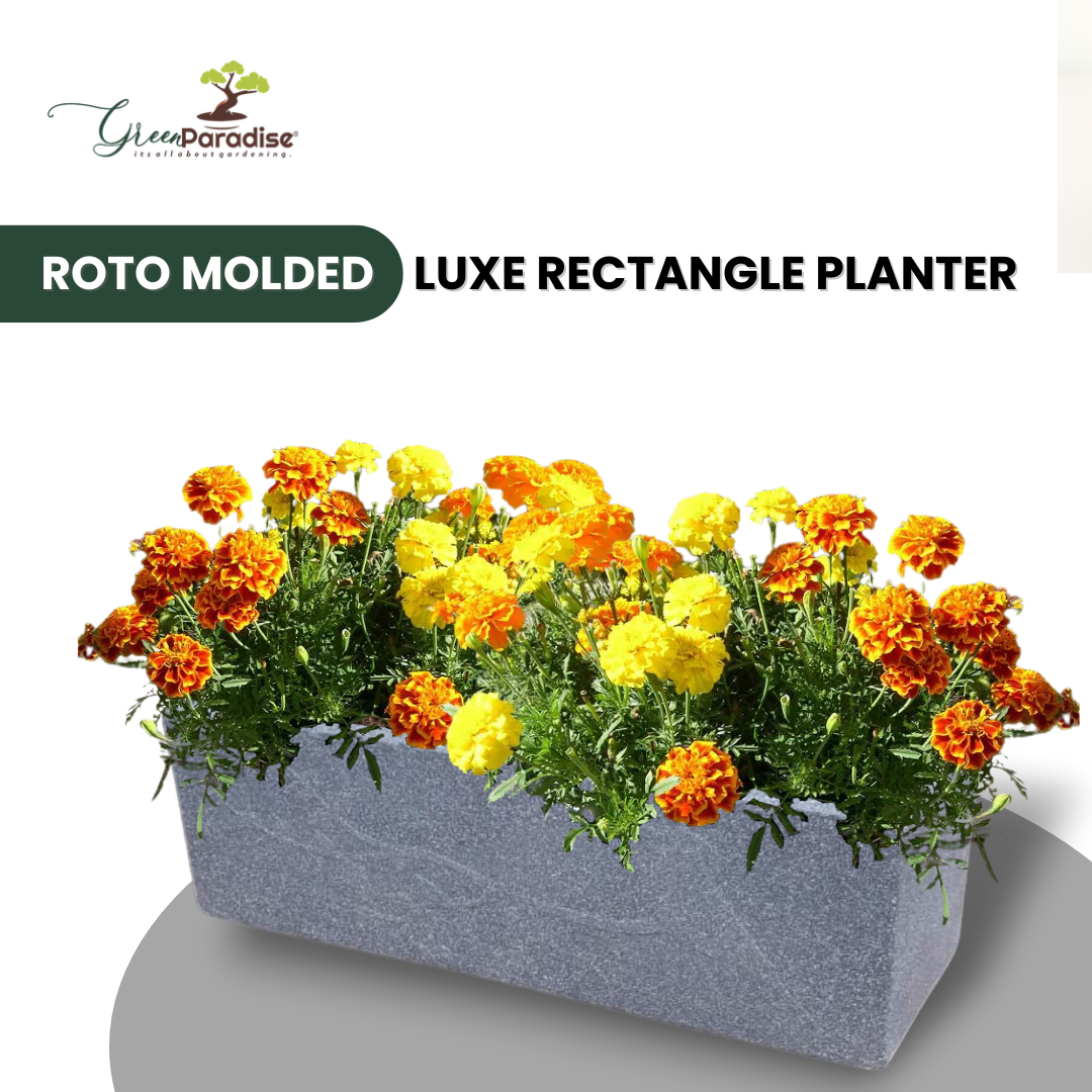 Green Paradise® Roto Molded Luxe Rectangle Planter Durable, Elegant & Weather-Resistant (18 inch)