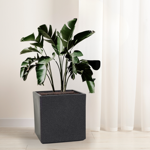 Green Paradise® Square Roto Molded High Qaulity Planter