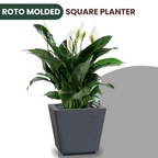 Green Paradise® Square Roto Molded High Qaulity Premium Planter