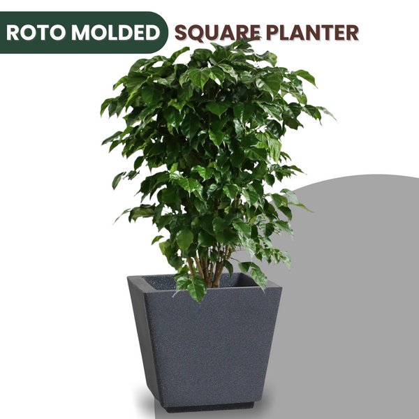 Green Paradise® Square Roto Molded High Qaulity Premium Planter