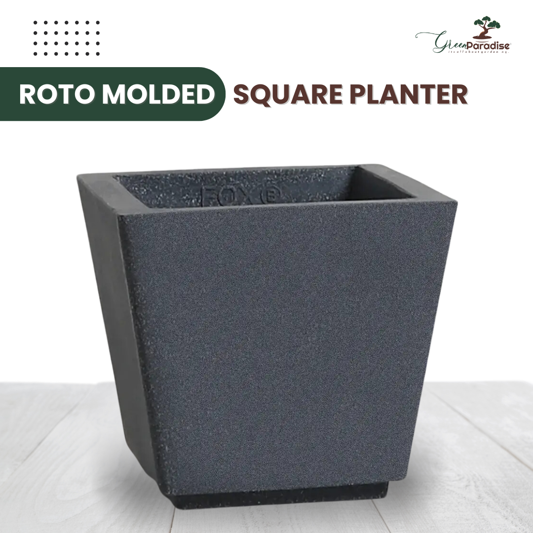 Green Paradise® Square Roto Molded High Qaulity Premium Planter