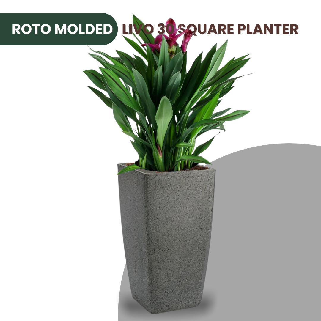 Green Paradise® Livo 30 Square Roto Molded High Qaulity Premium Planter