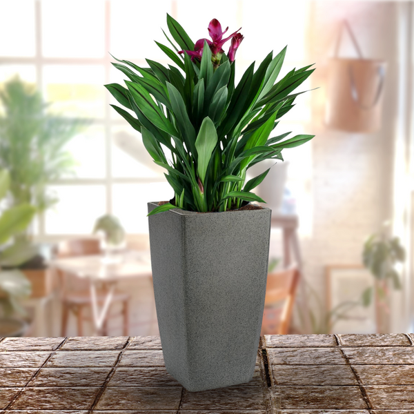 Green Paradise® Livo 30 Square Roto Molded High Qaulity Premium Planter