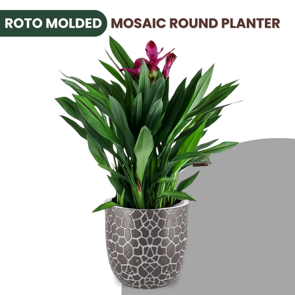 Green Paradise® Mosaic Round Roto Molded High Qaulity Premium Planter