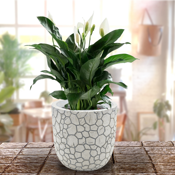 Green Paradise® Mosaic Round Roto Molded High Qaulity Premium Planter