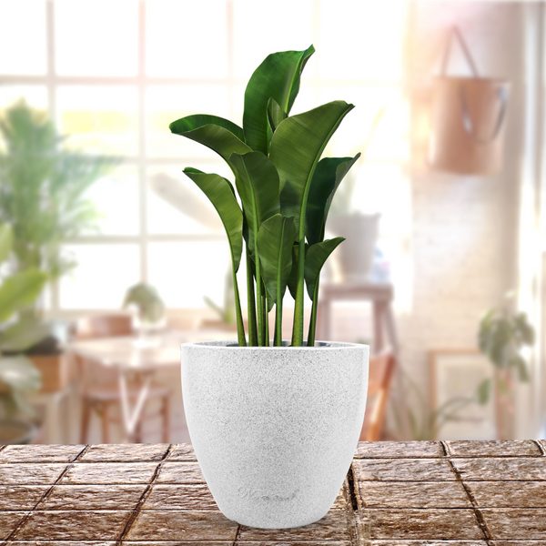 Green Paradise® P CUP Round Roto Molded High Quality Premium Planter