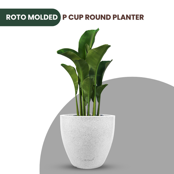 Green Paradise® P CUP Round Roto Molded High Quality Premium Planter