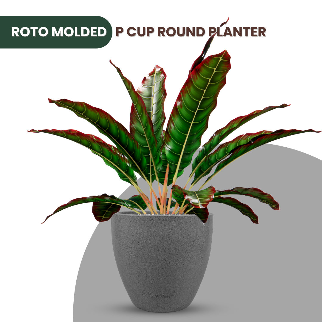 Green Paradise® P CUP Round Roto Molded High Quality Premium Planter