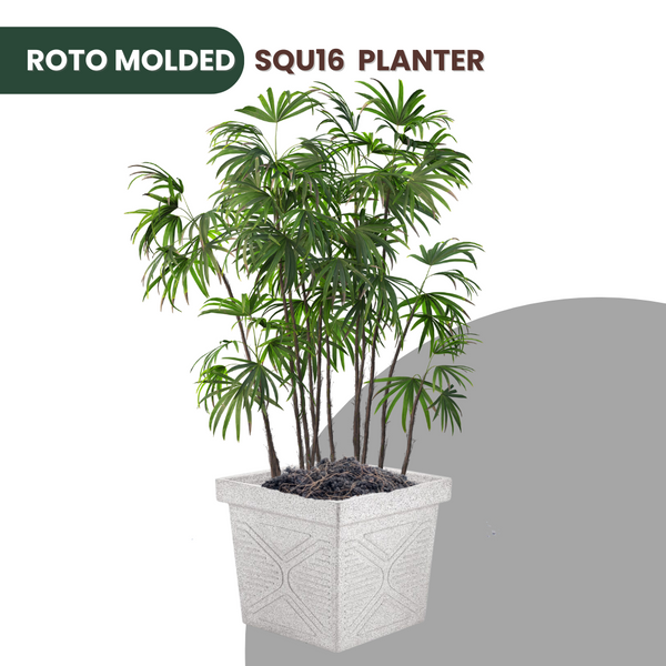 Green Paradise® Squ16 Roto Molded High Qaulity Premium Planter
