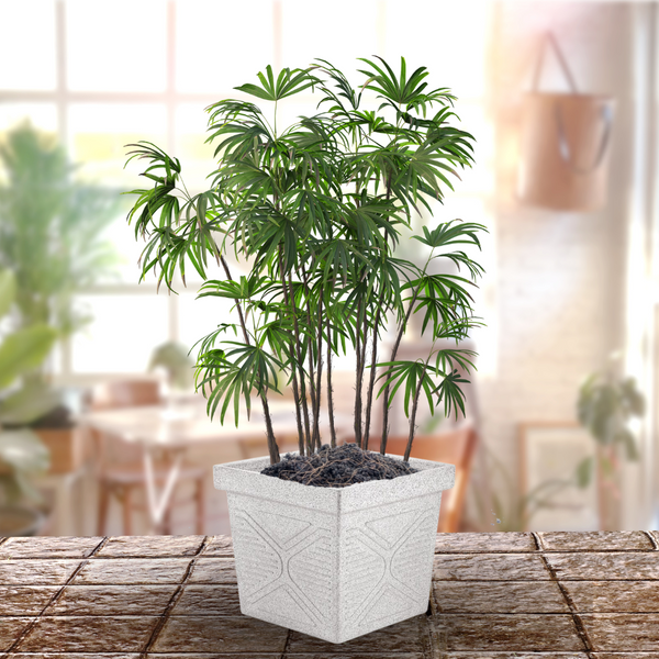 Green Paradise® Squ16 Roto Molded High Qaulity Premium Planter