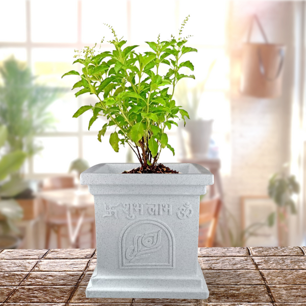 Green Paradise® Tulsi Roto Molded High Qaulity Premium Planter