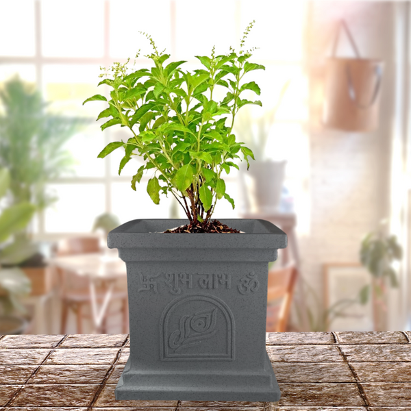 Green Paradise® Tulsi Roto Molded High Qaulity Premium Planter