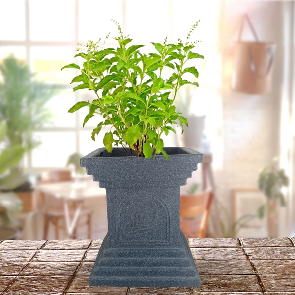 Green Paradise® Temple Base Roto Molded Tulsi High Qaulity Premium Planter