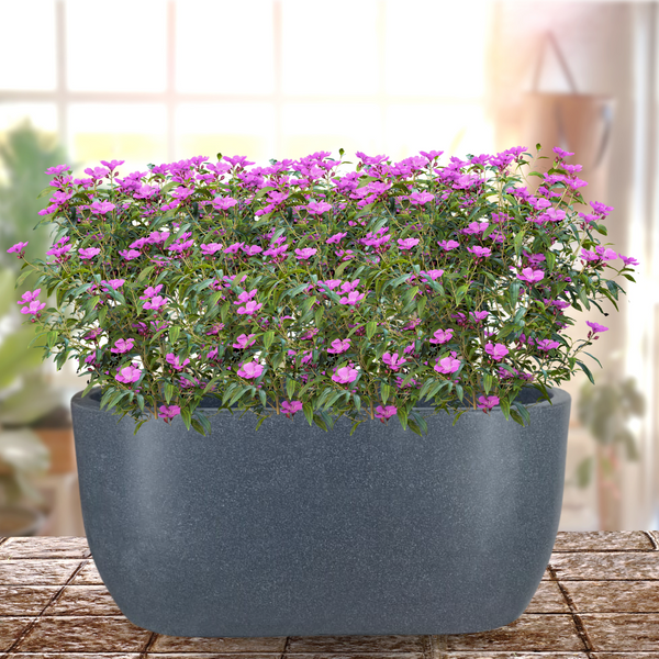 Green Paradise® Rectangular Roto Molded High Qaulity Planter