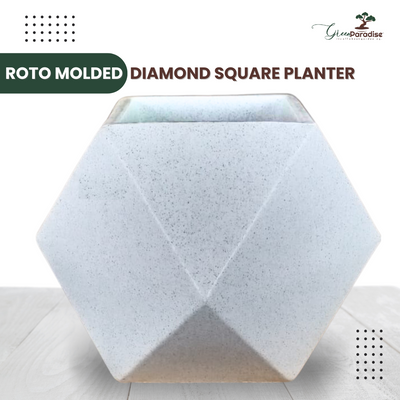 Green Paradise® Diamond Roto Molded High Qaulity Premium Planter