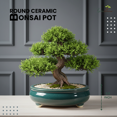 Green Paradise® Round Glossy Ceramic Pot for Bonsai Trees