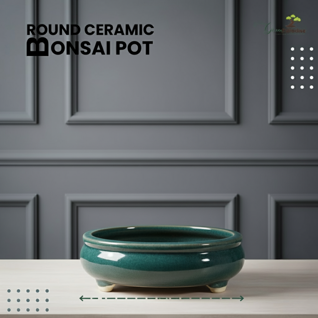 Green Paradise® Round Glossy Ceramic Pot for Bonsai Trees
