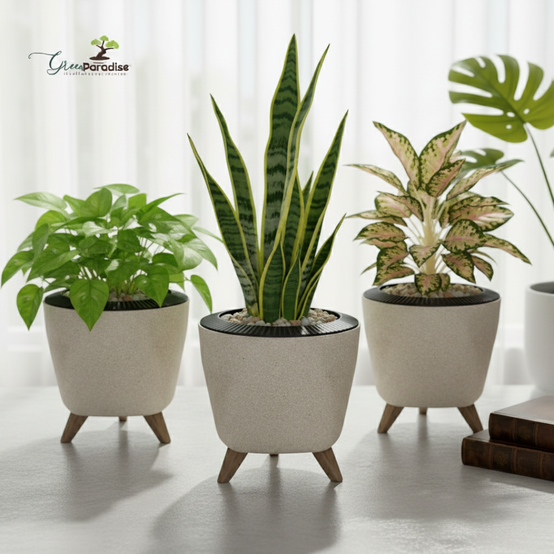 Green Paradise® Premium Plastic Pot  Durable & Lightweight Planters