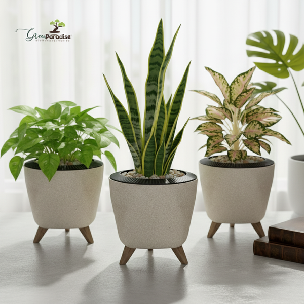 Green Paradise® Premium Plastic Pot  Durable & Lightweight Planters