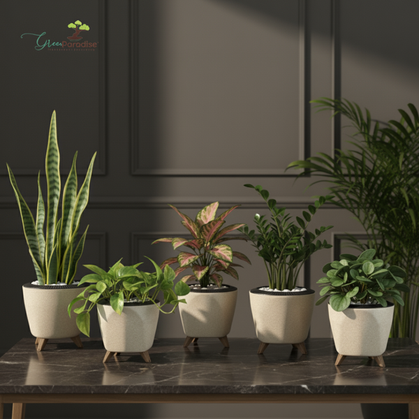 Green Paradise® Premium Plastic Pot  Durable & Lightweight Planters