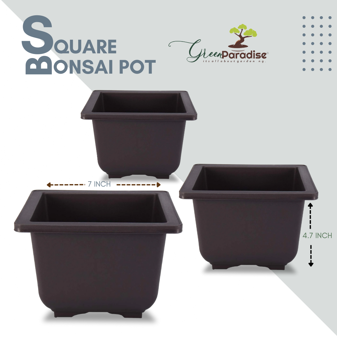 Green Paradise® Square Bonsai Plastic Pot Elevate Your Bonsai Experience