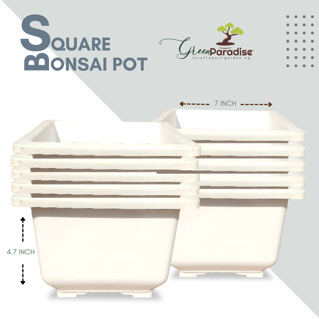 Green Paradise® Square Bonsai Plastic Pot Elevate Your Bonsai Experience