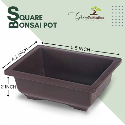 Green Paradise® Bonsai Training  Pots Rectangle 14 cm (Brown) (Pack of 5) plastic bonsai  pots Ideal for  Mame And Shohin Bonsai Training