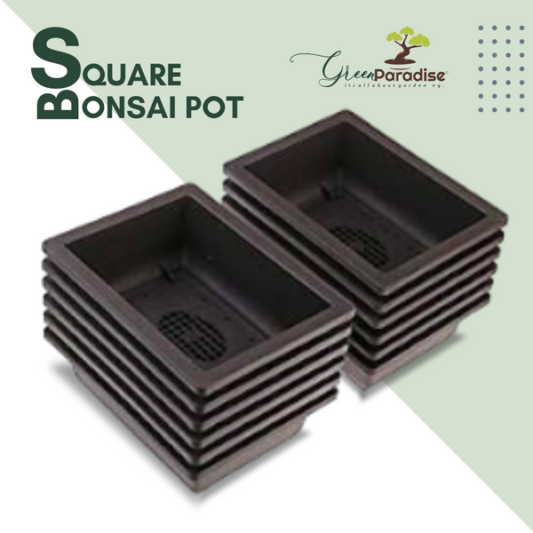 Green Paradise® Bonsai Training  Pots Rectangle 14 cm (Brown)  plastic bonsai  pots Ideal for  Mame And Shohin Bonsai Training