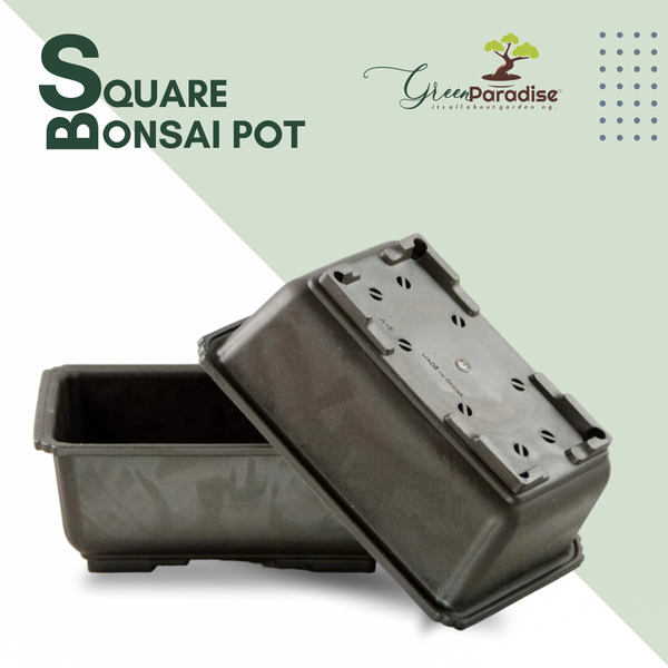 Green Paradise® Bonsai Training  Pots Rectangle 14 cm (Brown)  plastic bonsai  pots Ideal for  Mame And Shohin Bonsai Training