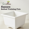 Green Paradise® Bonsai Pots Plastic Bonsai Training Pots (Square )(white )