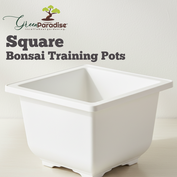 Green Paradise® Bonsai Pots Plastic Bonsai Training Pots (Square )(white )