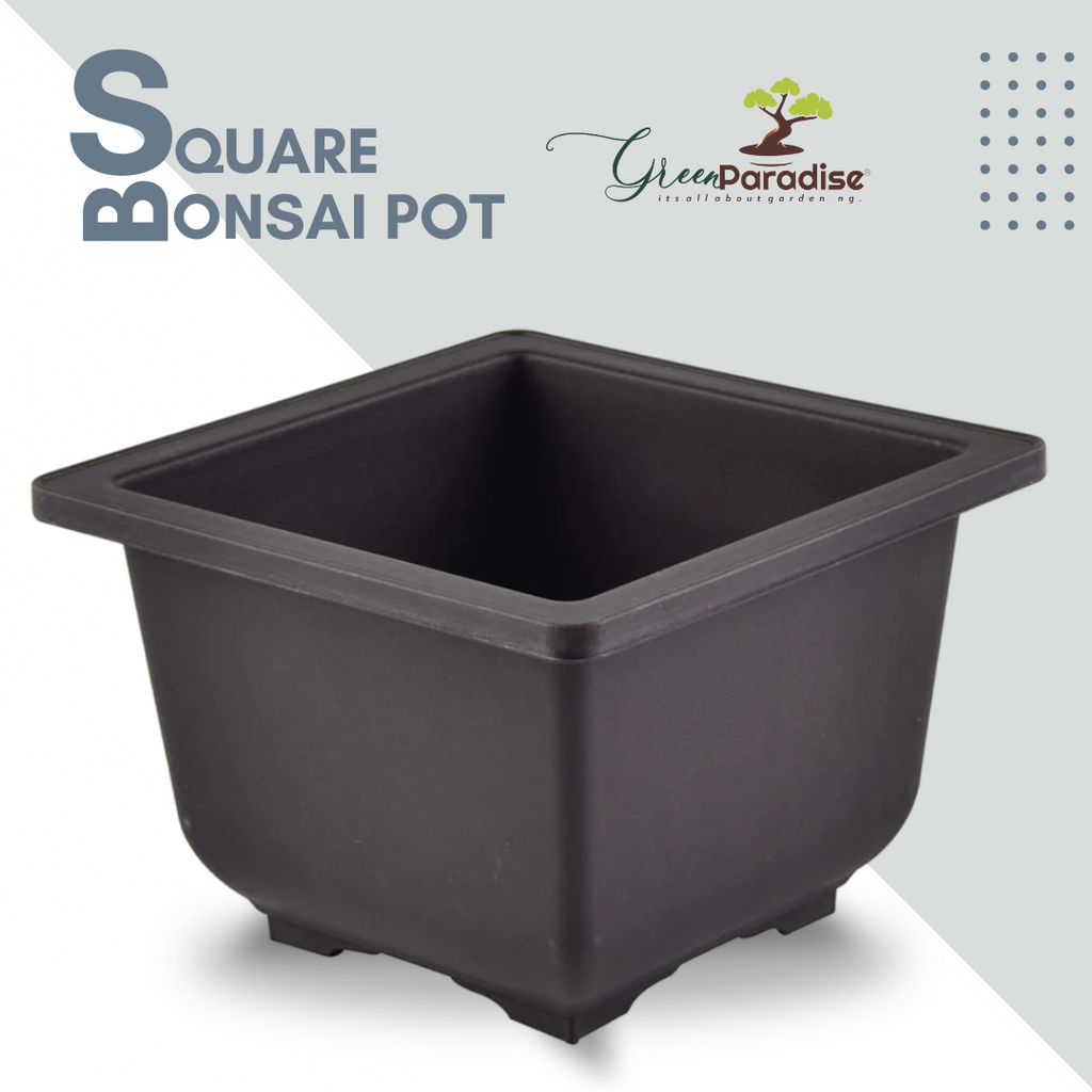 Green Paradise® Bonsai Pots Plastic Bonsai Training Pots (Square )(purple clay color)
