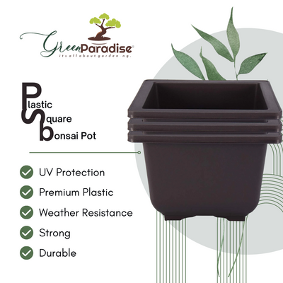 Green Paradise® Bonsai Pots Plastic Bonsai Training Pots (Square )(purple clay color)