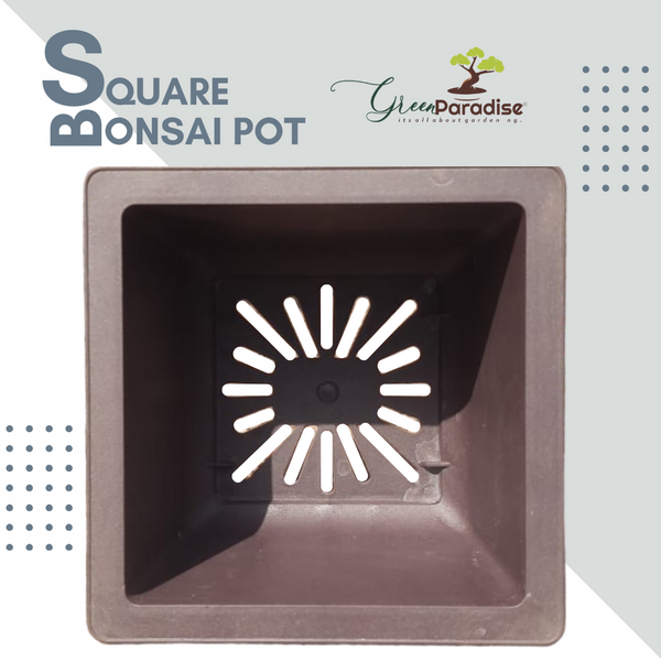 Green Paradise® Bonsai Pots Plastic Bonsai Training Pots (Square )(purple clay color)