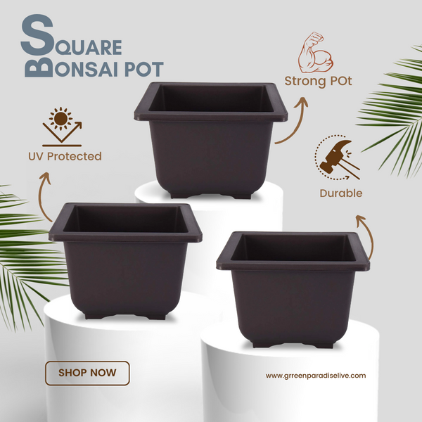Green Paradise® Bonsai Pots Plastic Bonsai Training Pots (Square )(purple clay color)